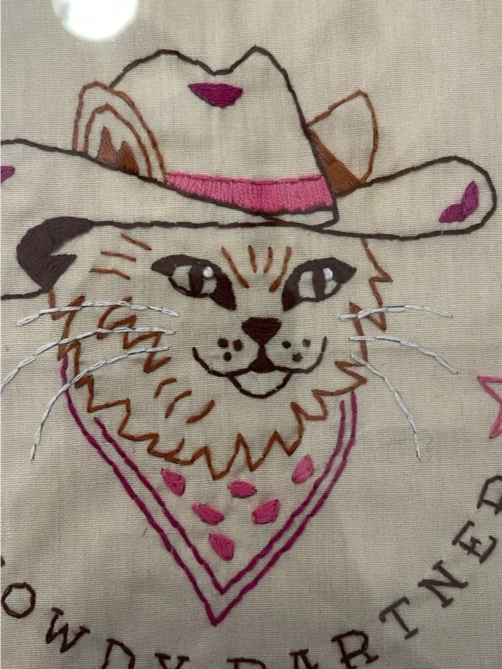 Rustic Pink and Cream 'Meowdy Partner' Framed Wall Art in Western Frame.
